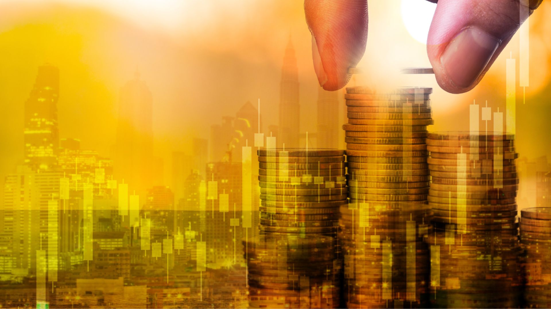 Money Market Funds: How to Use Them in Your Investment Plan